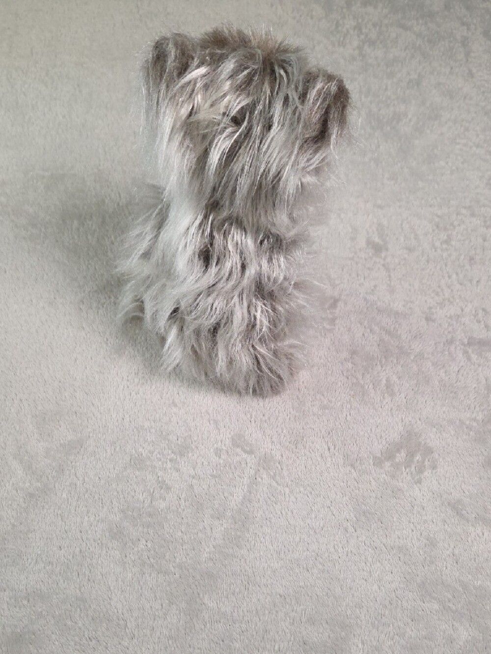 Vintage 1998 Warner Bros Studio Store Wizard of Oz Toto Plush Dog Shaggy 8" EUC - Picture 3 of 6